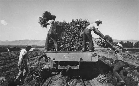 Migrant Workers .